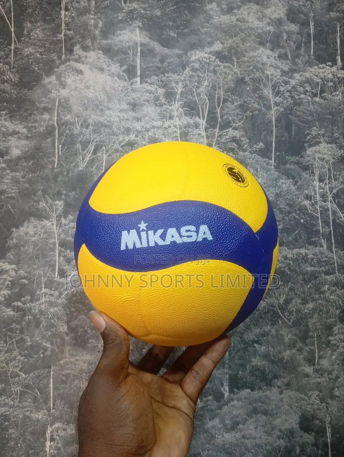 Quality MIKASA Volleyball