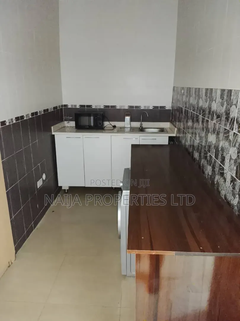 Mini Flat in Banana Island for rent