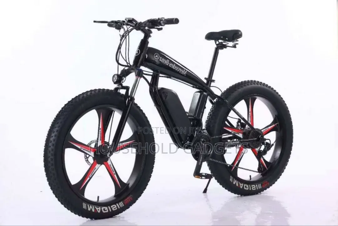 Electric Bike