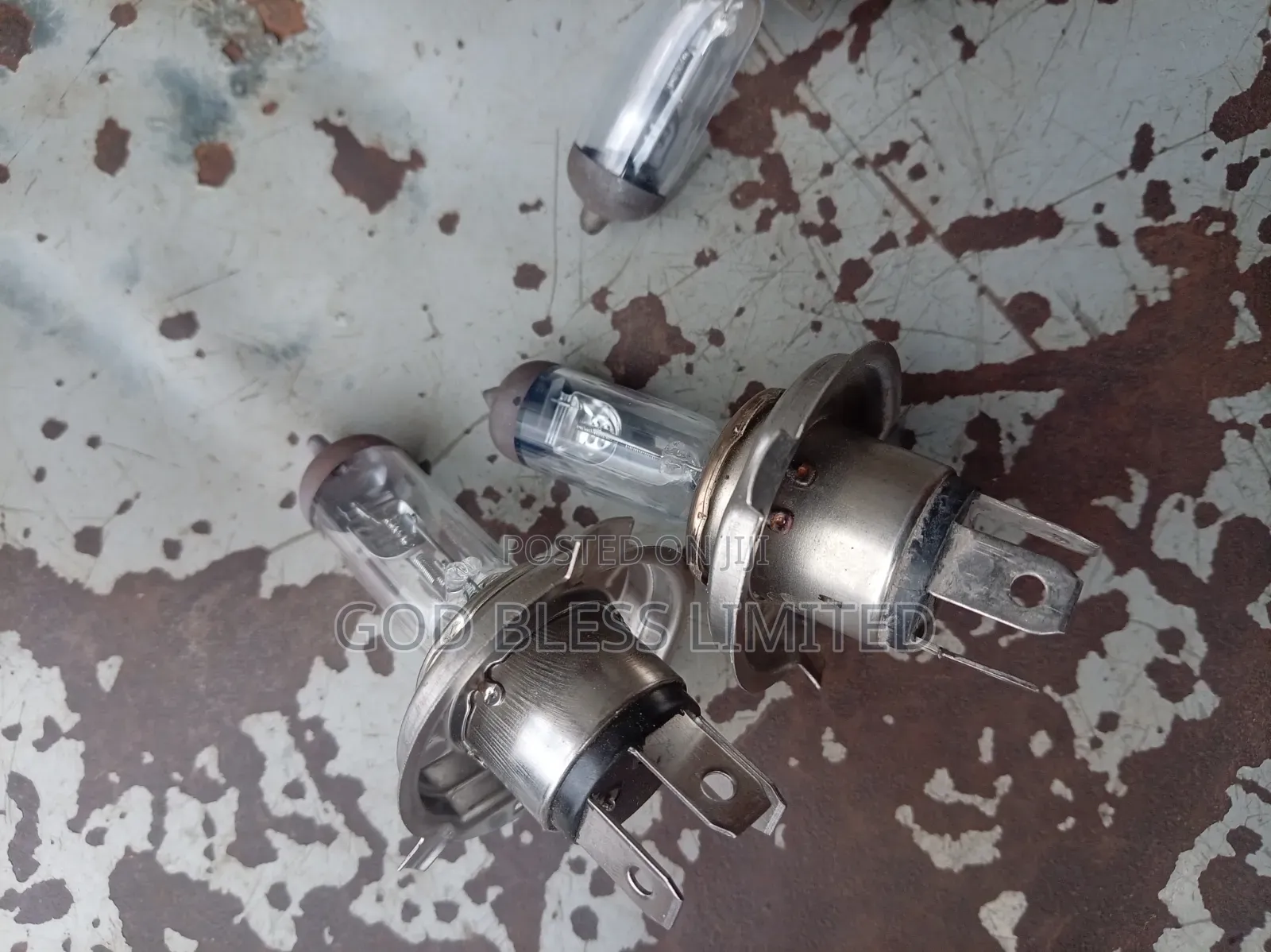 H4 Halogen Bulb