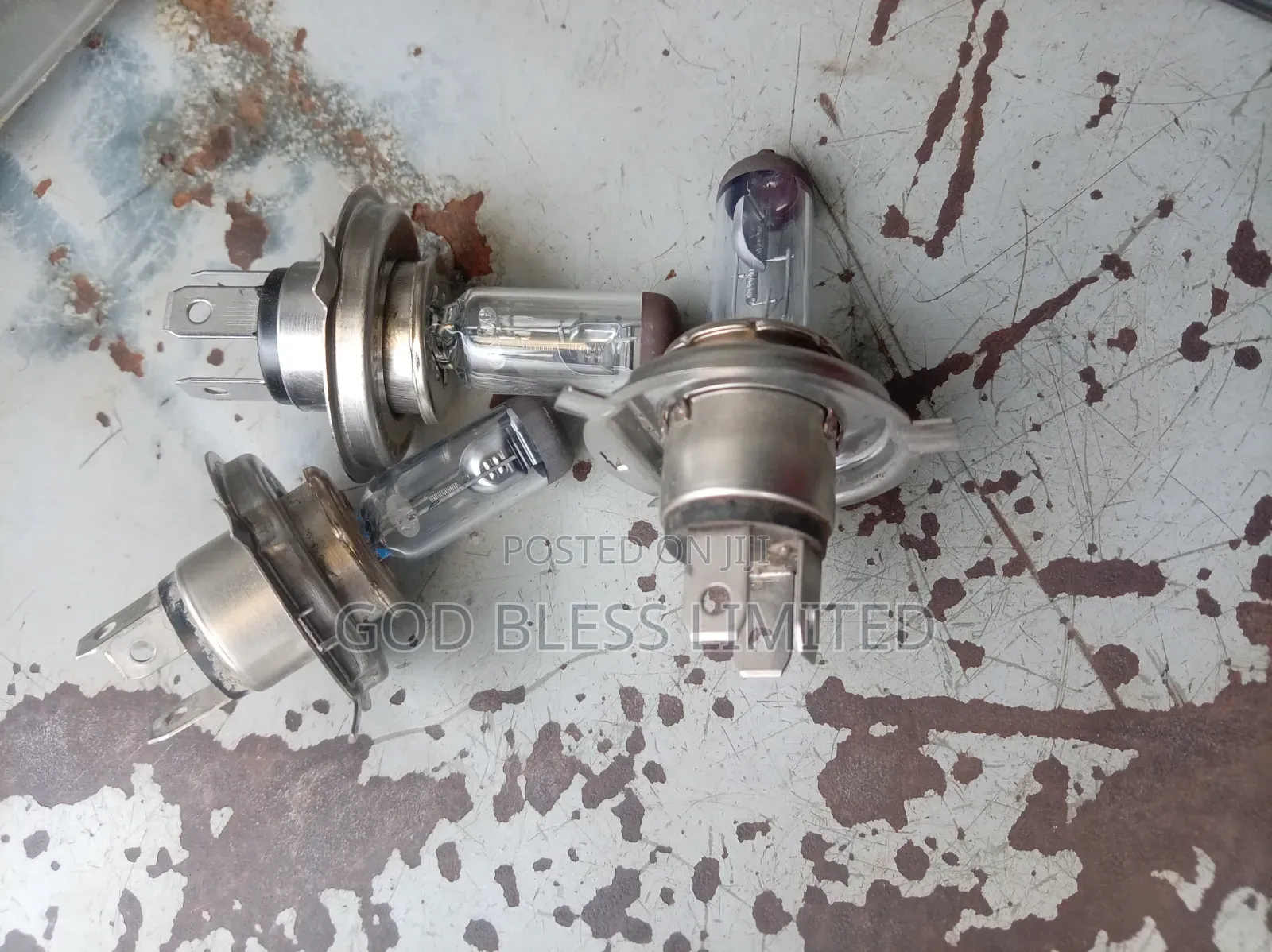 H4 Halogen Bulb