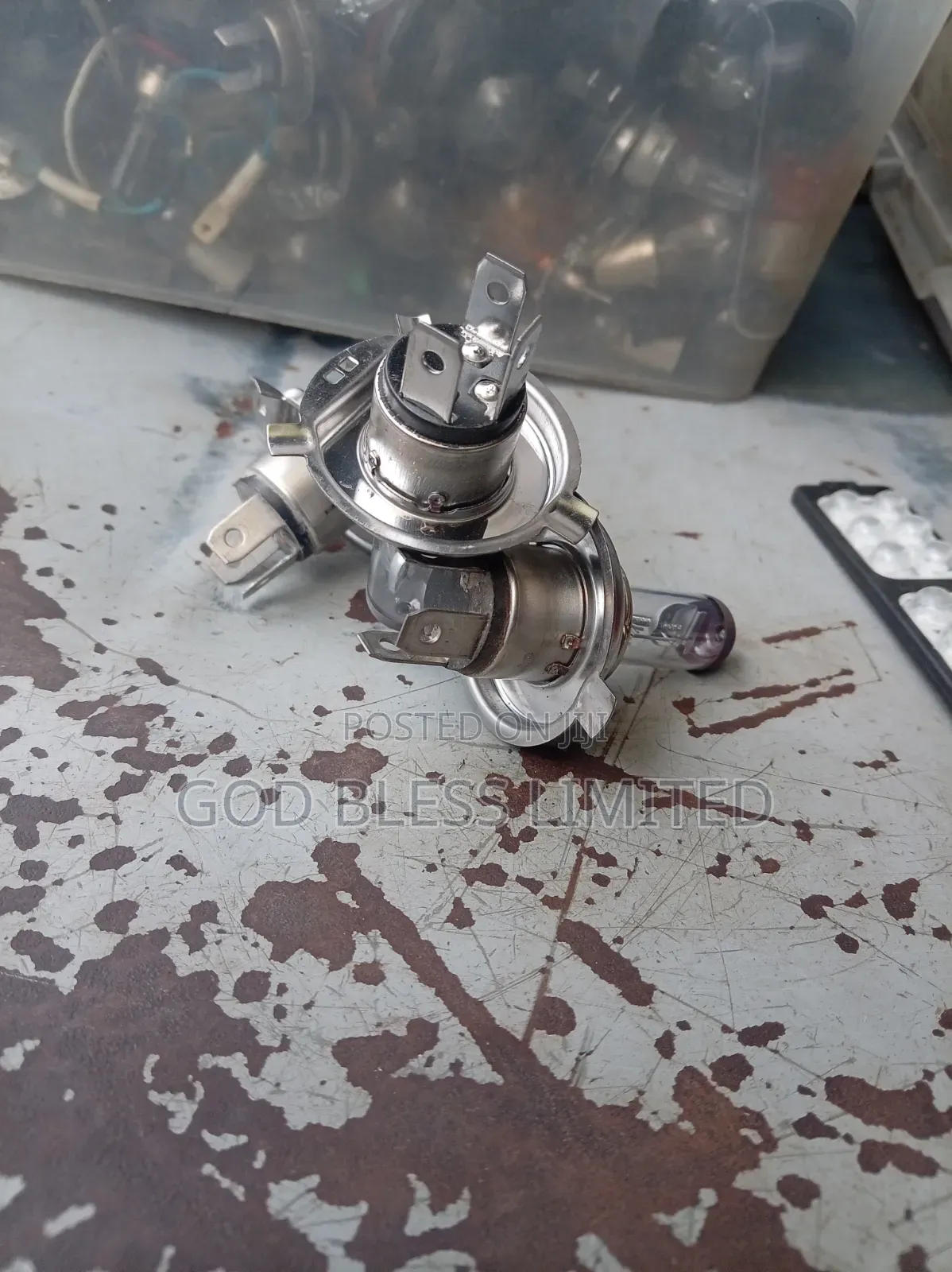 H4 Halogen Bulb