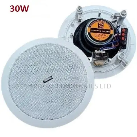 Coaxial Hi-Fi Ceiling Speaker (30watts)- AUX187II