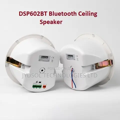 Active Ceiling Bluetooth Speaker 2*10w - Dsp602bt