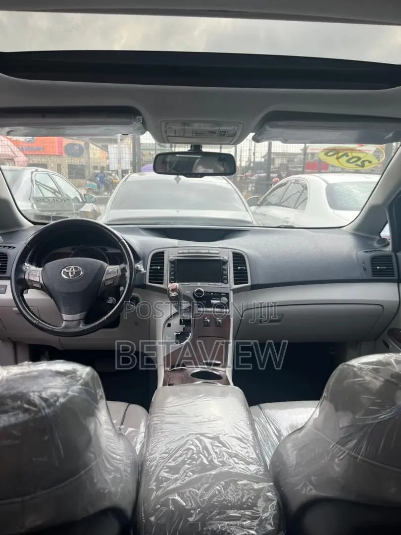 Toyota Venza 2010 Blue