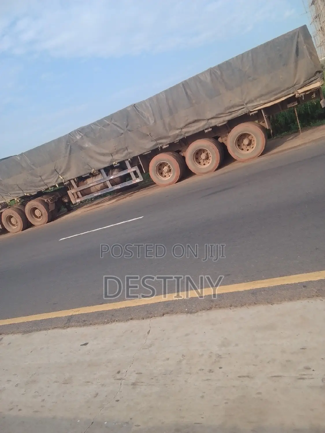 Dangote Cement Distributor