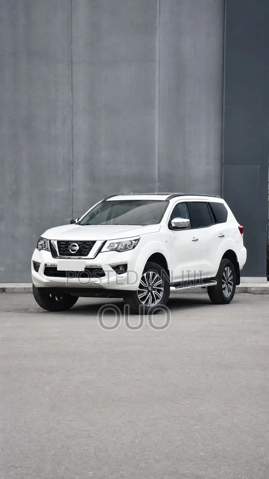 Nissan Terrano 2020 White