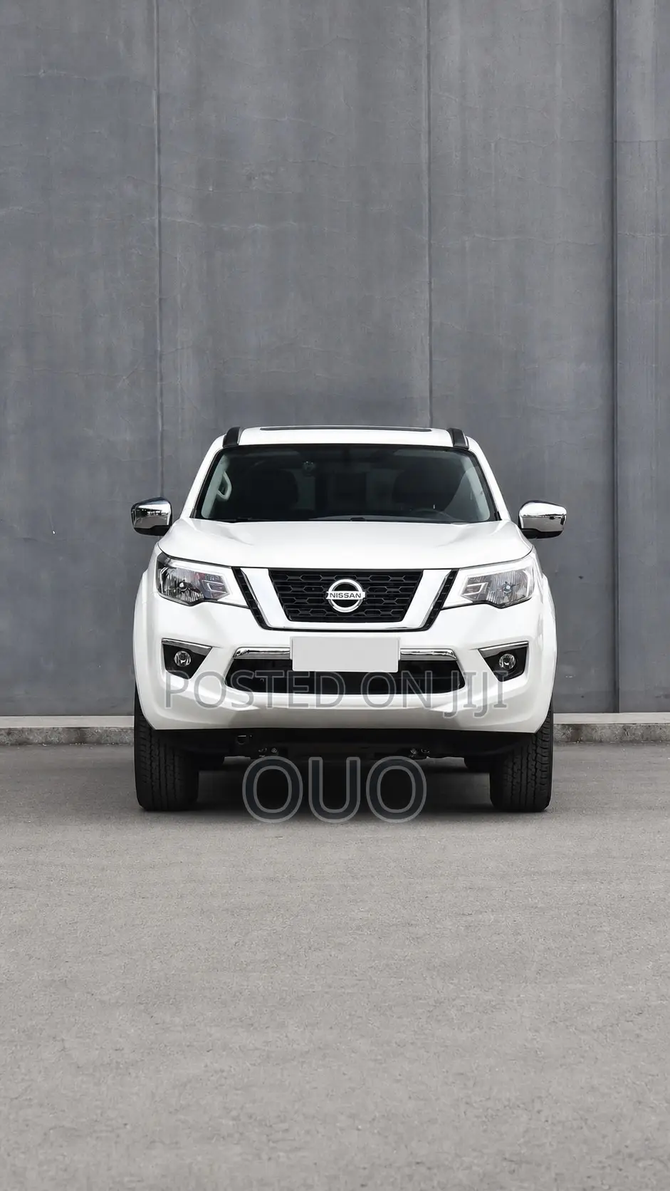 Nissan Terrano 2020 White