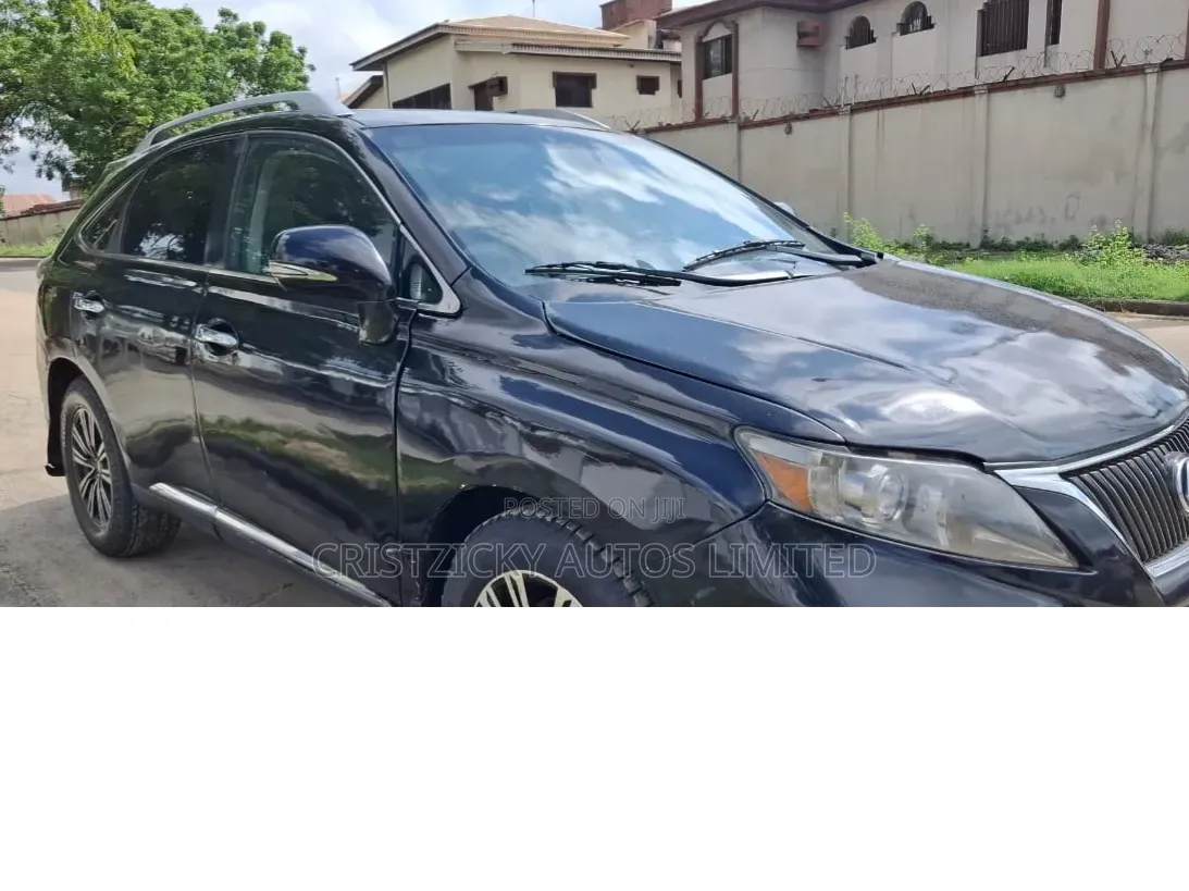 Lexus RX 2010 Black