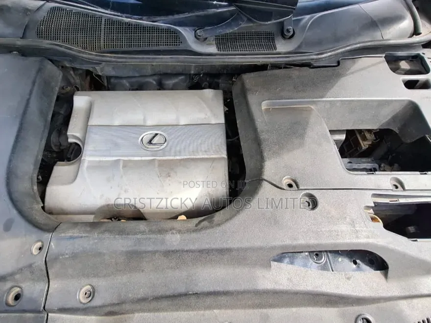 Lexus RX 2010 Black