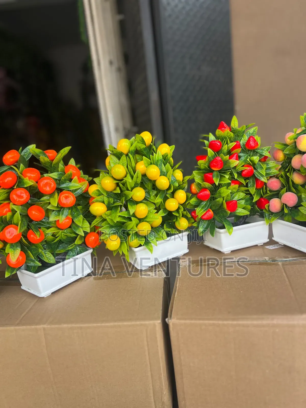 Cup Flowers Available in Bulk Available for Wholesalers