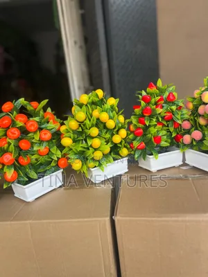 Cup Flowers Available in Bulk Available for Wholesalers