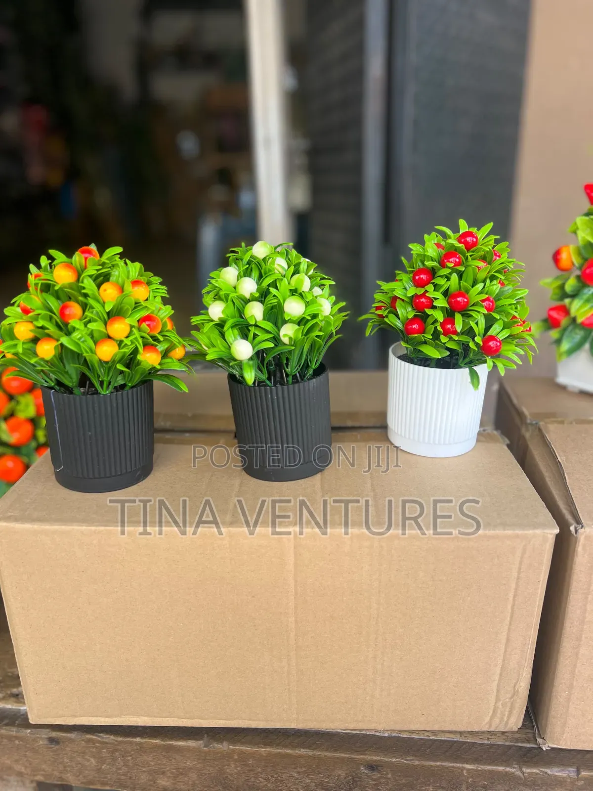 Cup Flowers Available in Bulk Available for Wholesalers