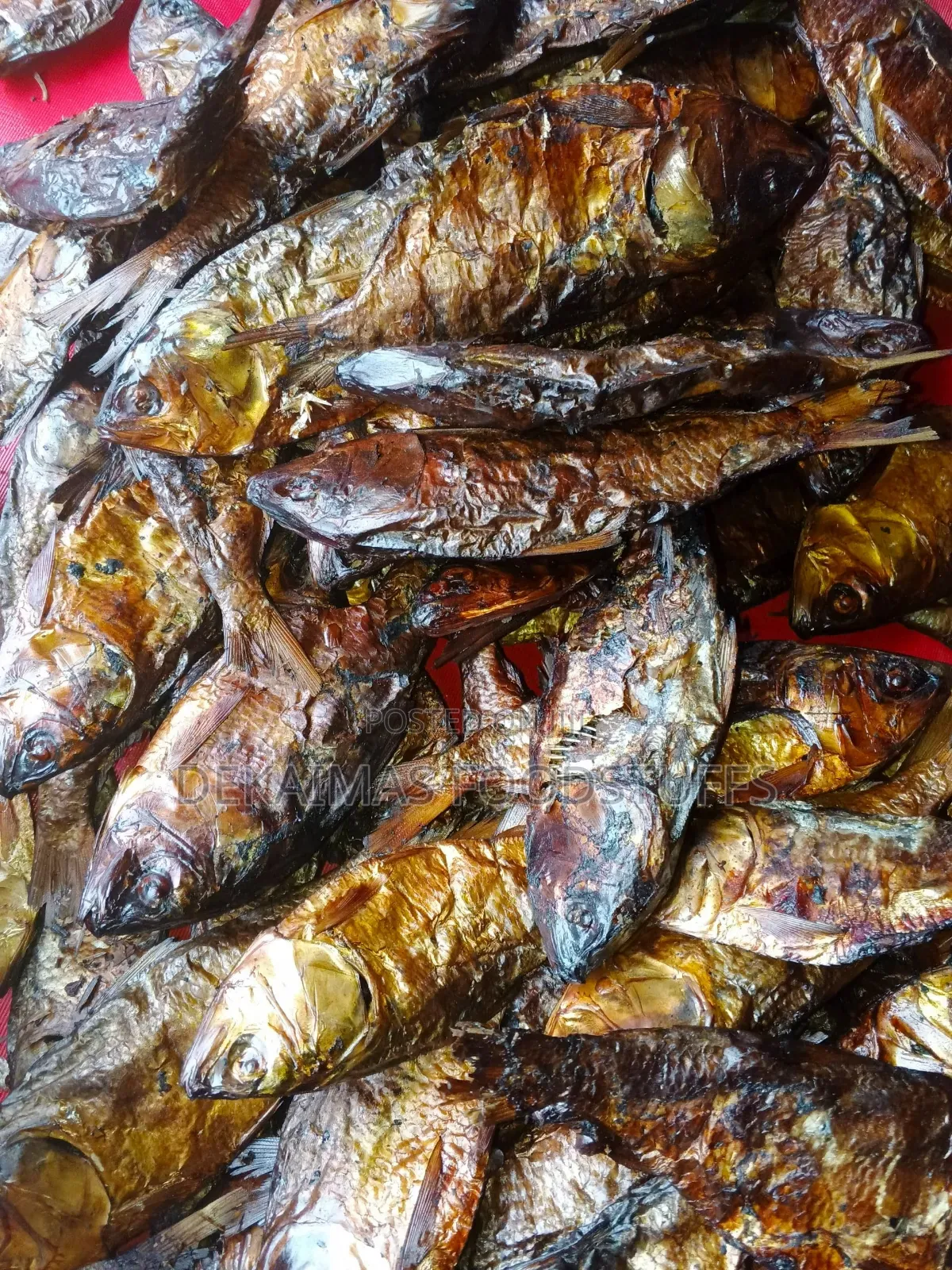 Quality Native Bonga Fish