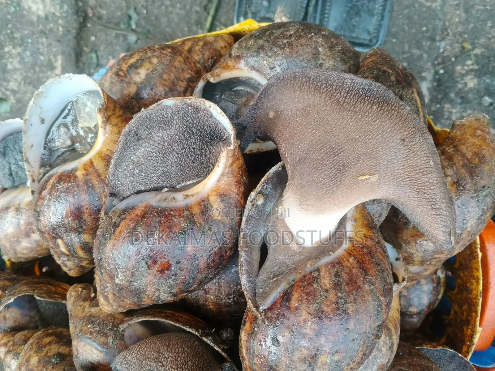 Jumbo Snails Available in Lagos State