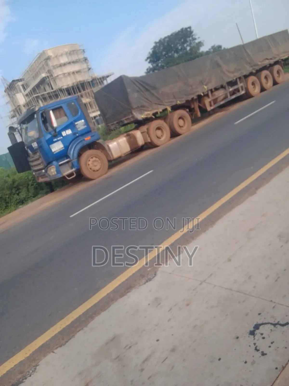 Dangote Cement Distributor