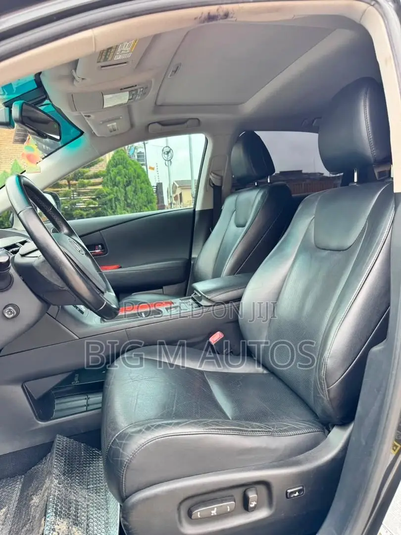 Lexus RX 350 2010 Gray