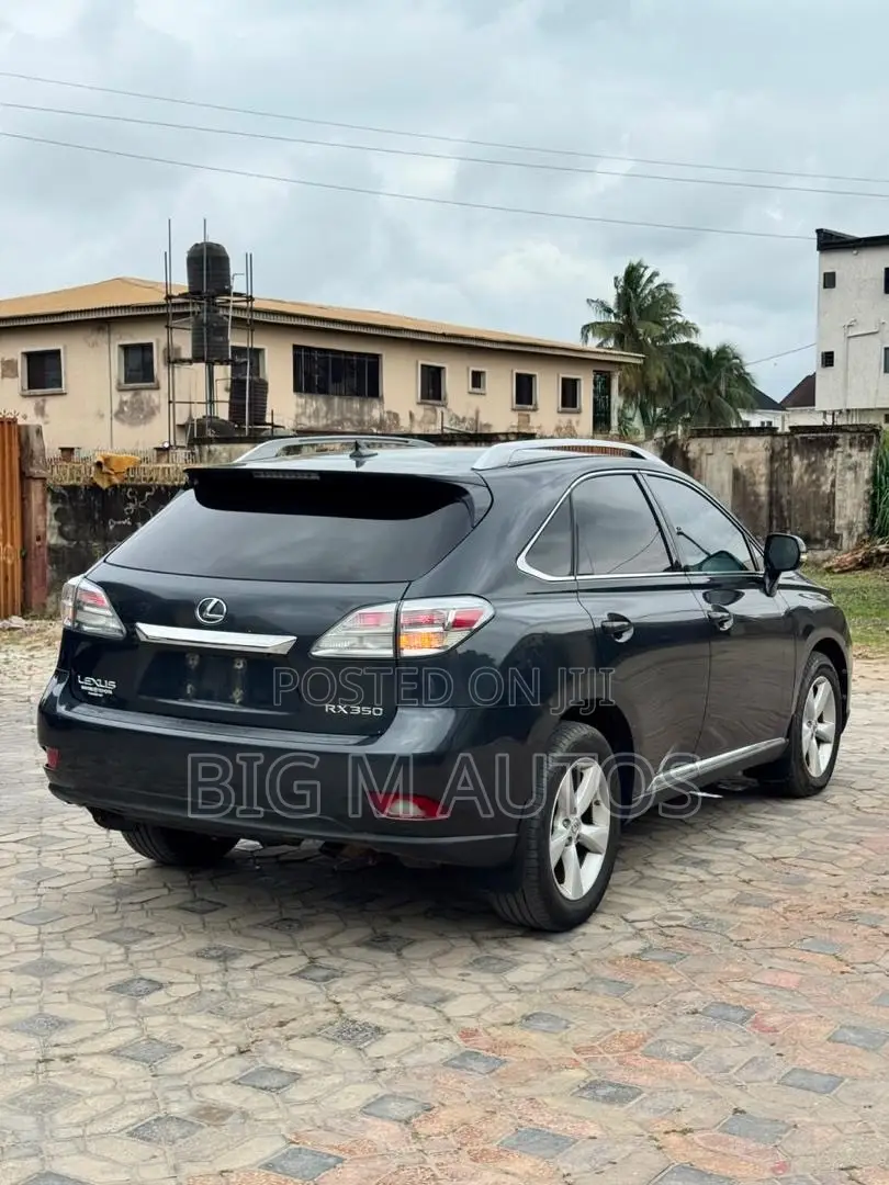 Lexus RX 350 2010 Gray