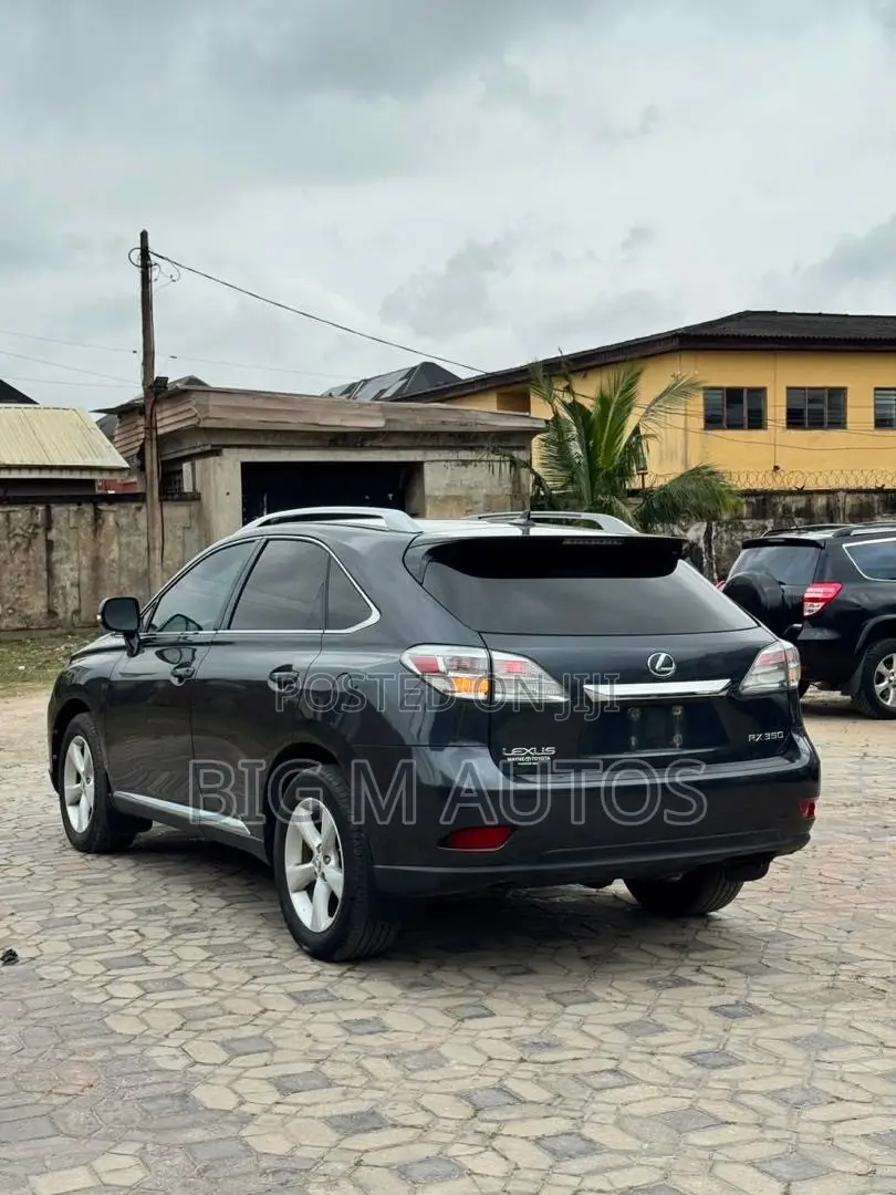 Lexus RX 350 2010 Gray