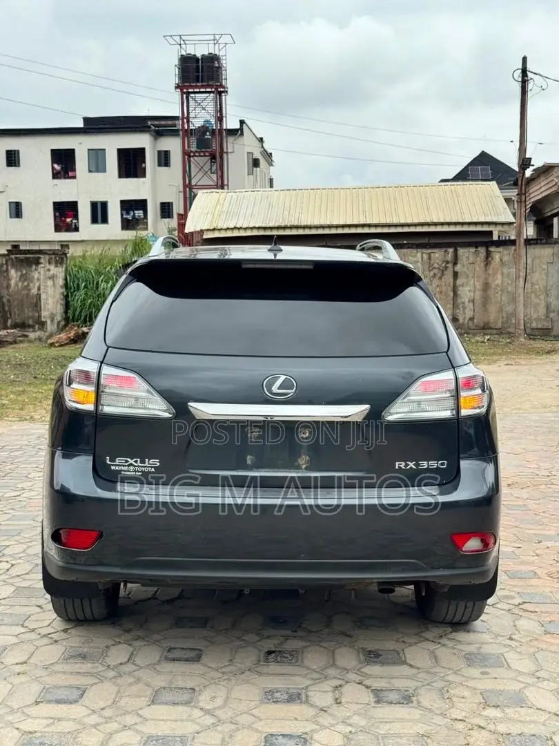 Lexus RX 350 2010 Gray