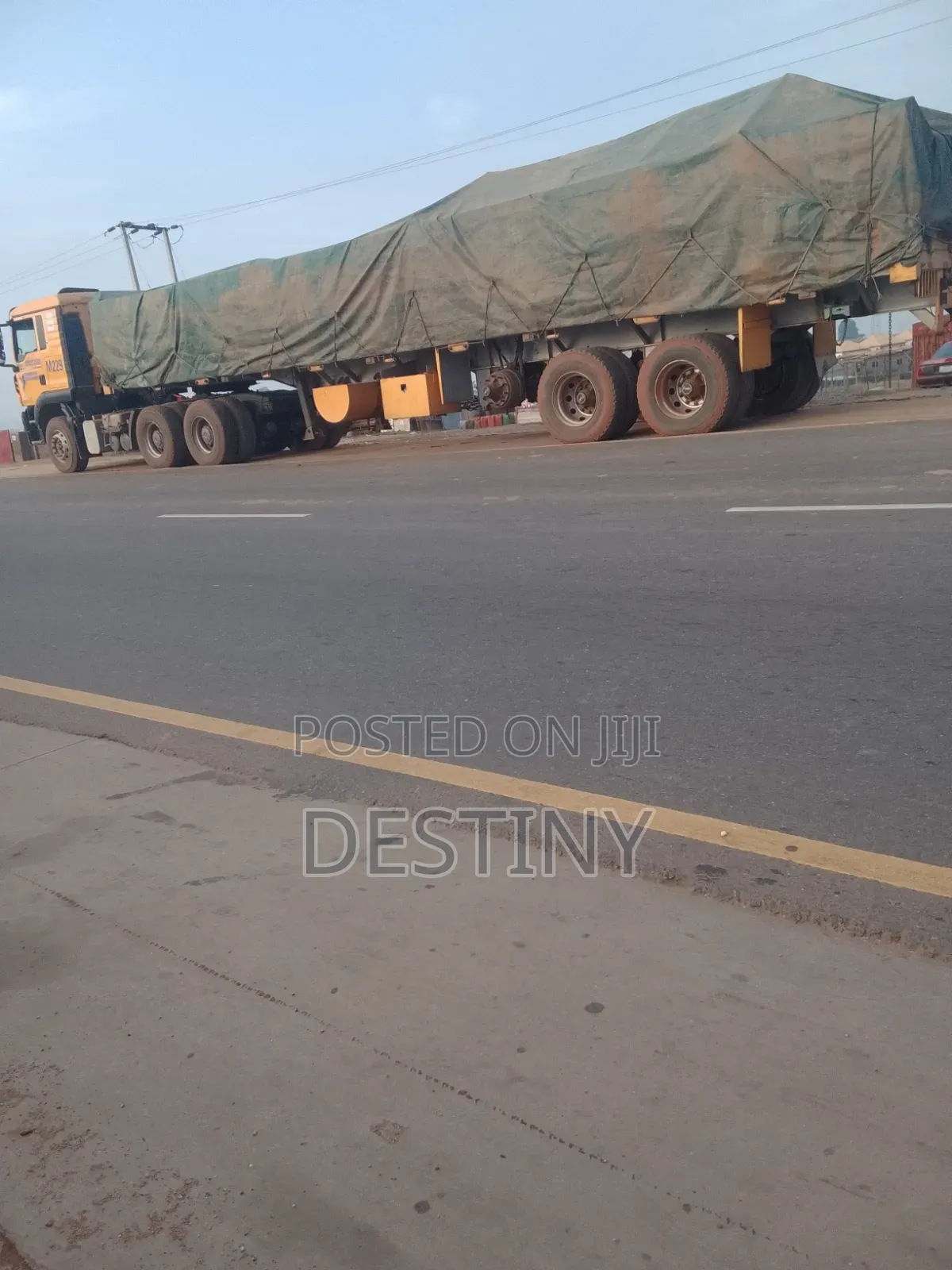 Dangote Cement Distributor