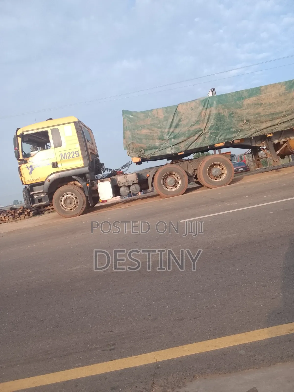Dangote Cement Dealer