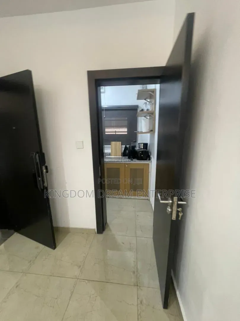 Furnished Studio Apartment in Old Ikoyi Lagos for rent