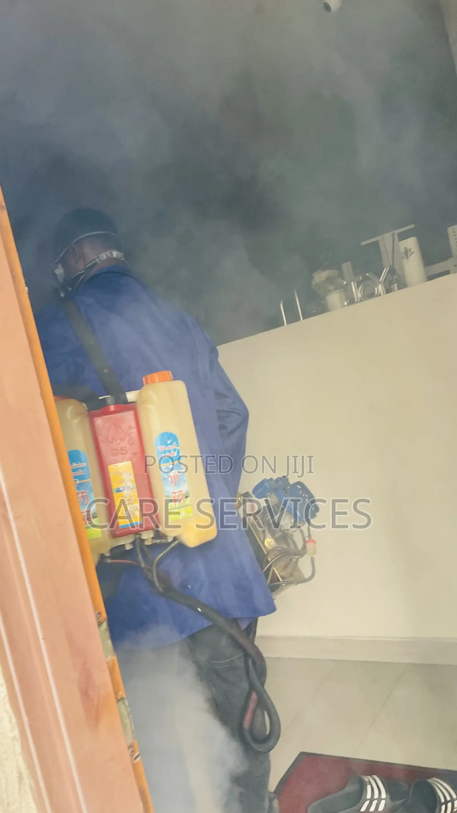Best After Cockroach Elimination in Offices and Apartments