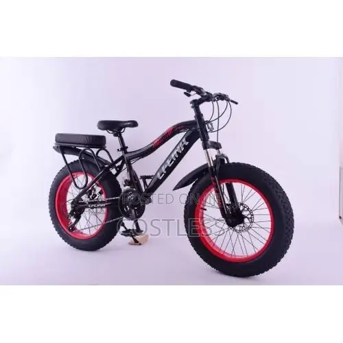 20-Inch Fat Tire Bicycle With Back Seat for Kids for 10-25 Years