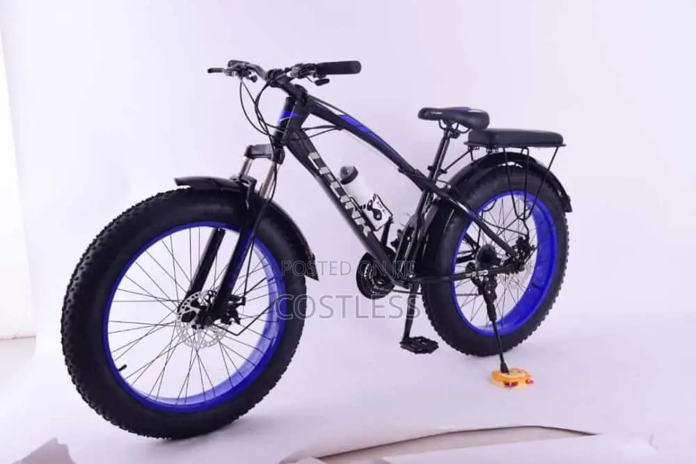 24-Inch Fat Tire Bicycle for Adults-Blue for 14 Years and Above