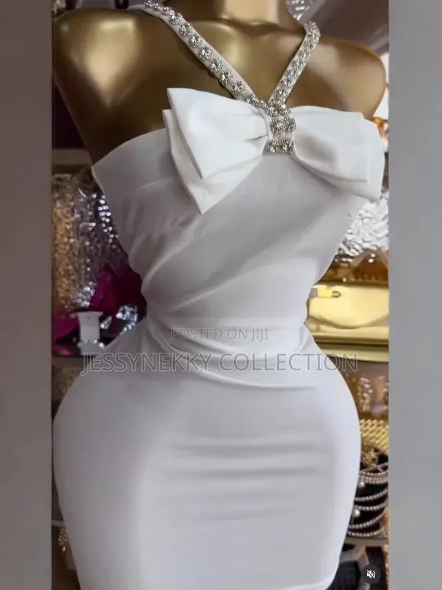 Classic Ladies Luxurious Party Dress