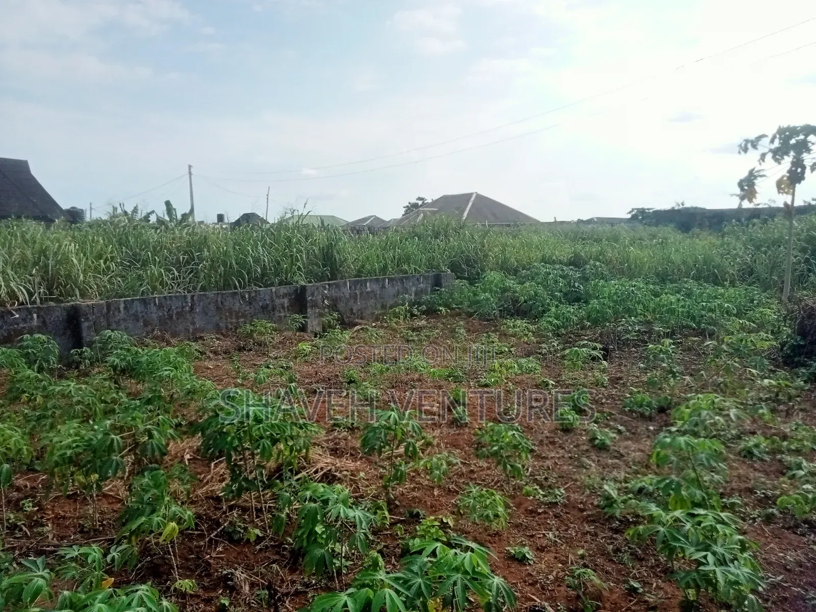 Half Plot for Sale @ Peace Avenue Arobieye