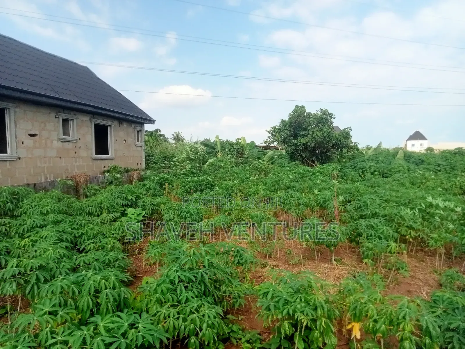 Half Plot for Sale @ Peace Avenue Arobieye
