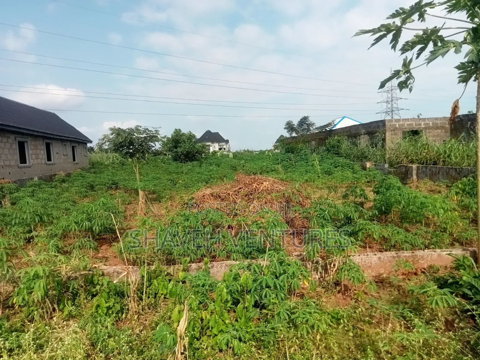 Half Plot for Sale @ Peace Avenue Arobieye