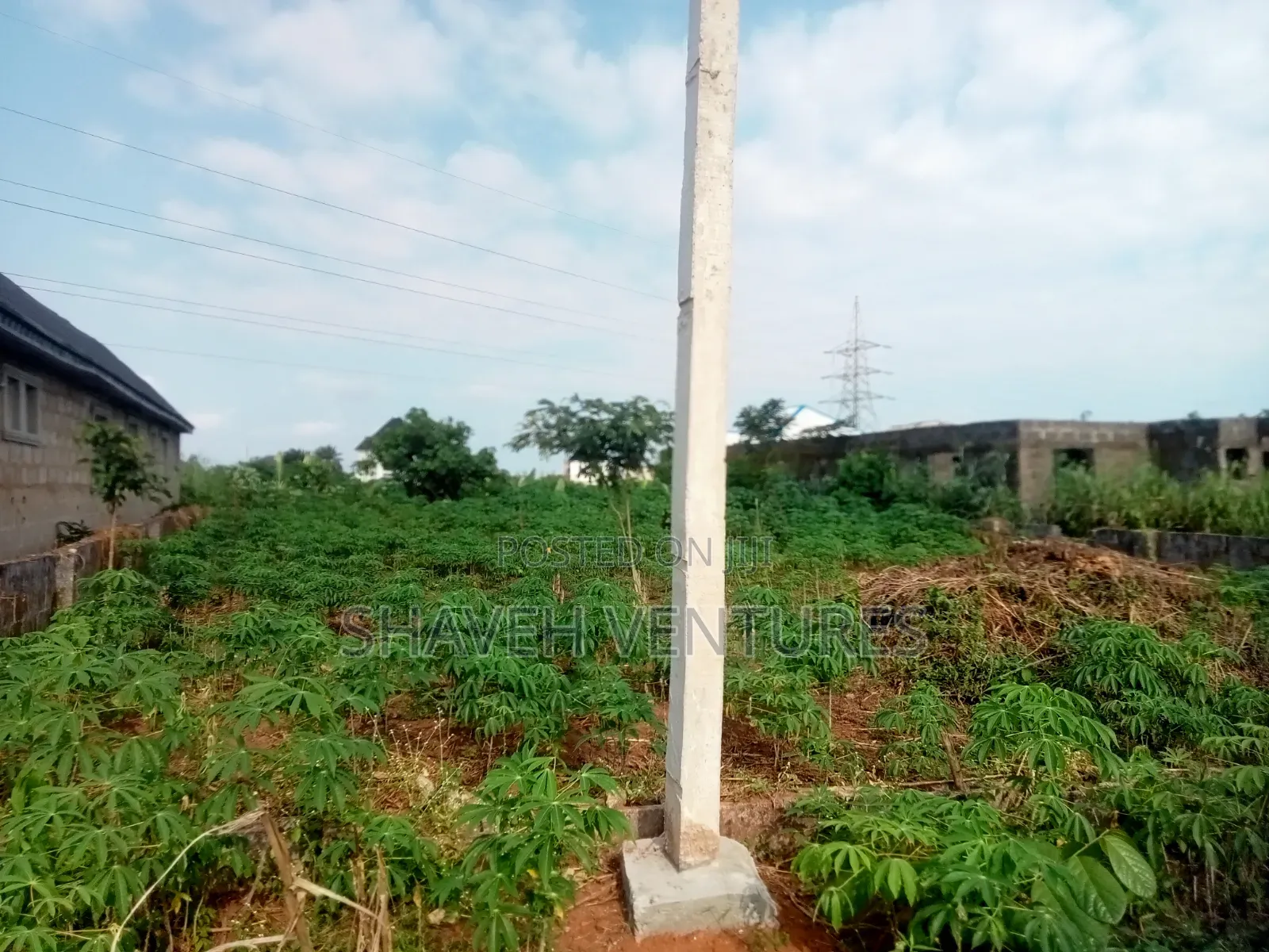 Half Plot for Sale @ Peace Avenue Arobieye