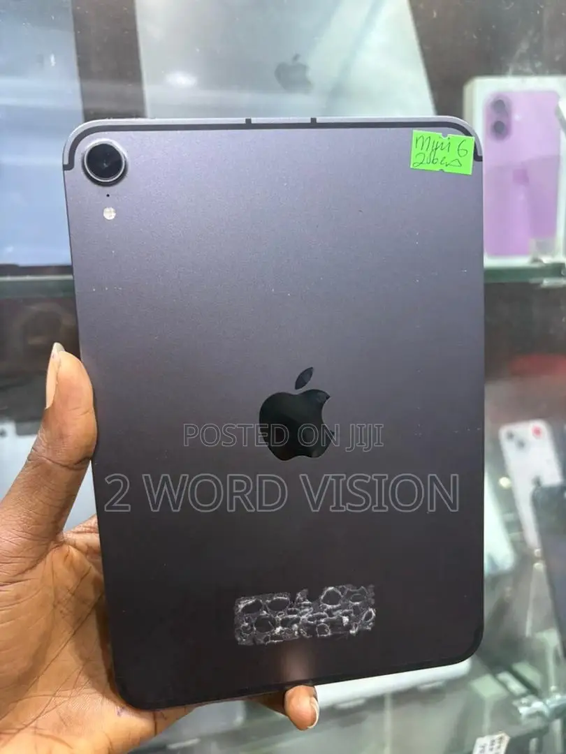 Apple iPad mini 6 256 GB Gray