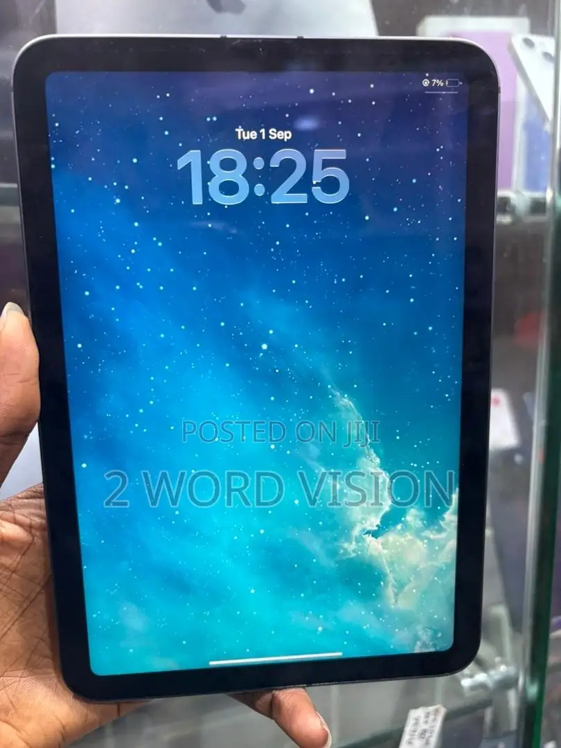 Apple iPad mini 6 256 GB Gray