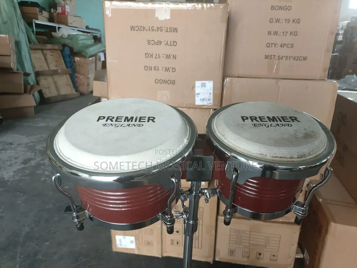 Premier Big Bongo for Professional DJ