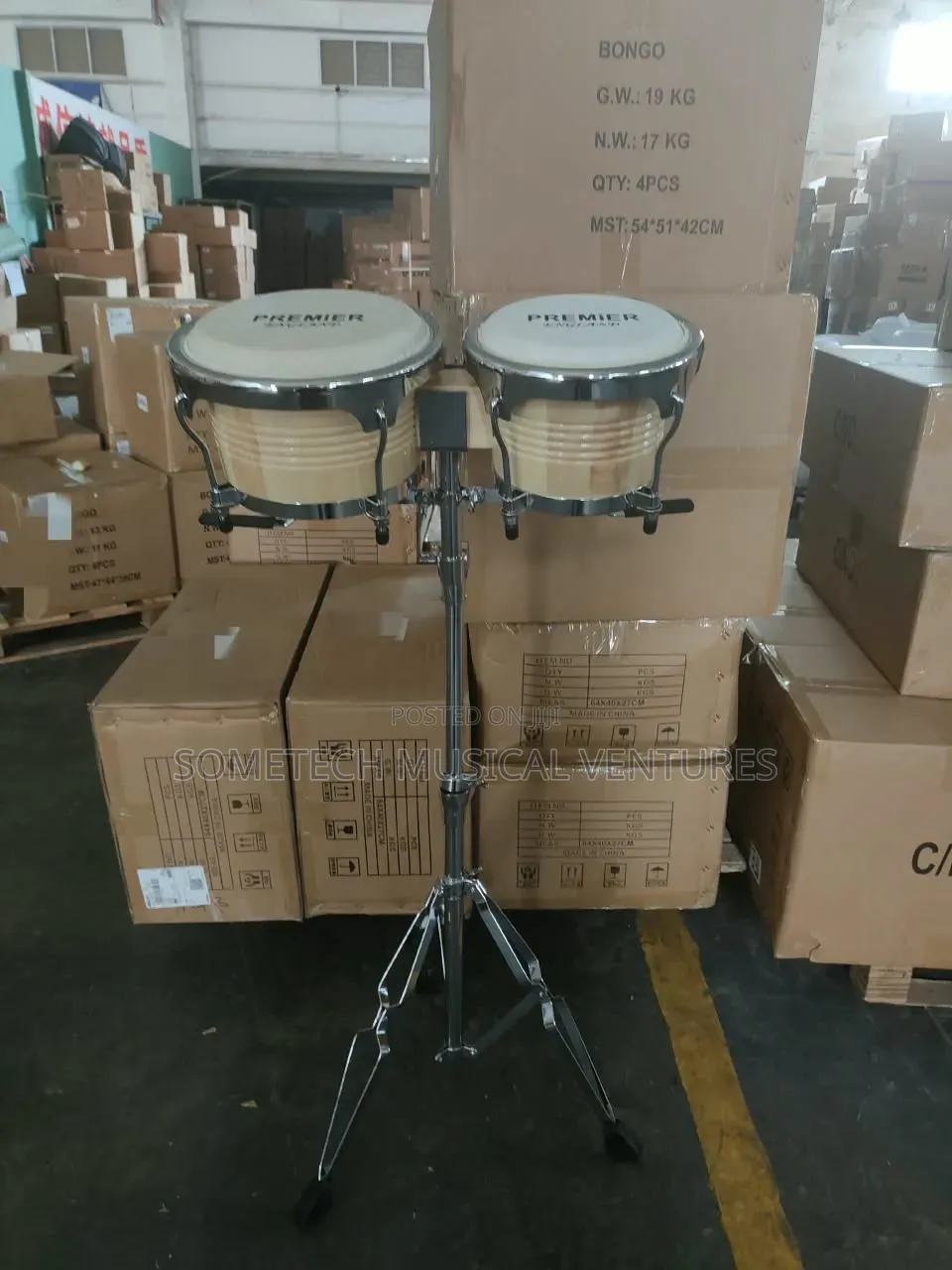 Premier England Big Bongo