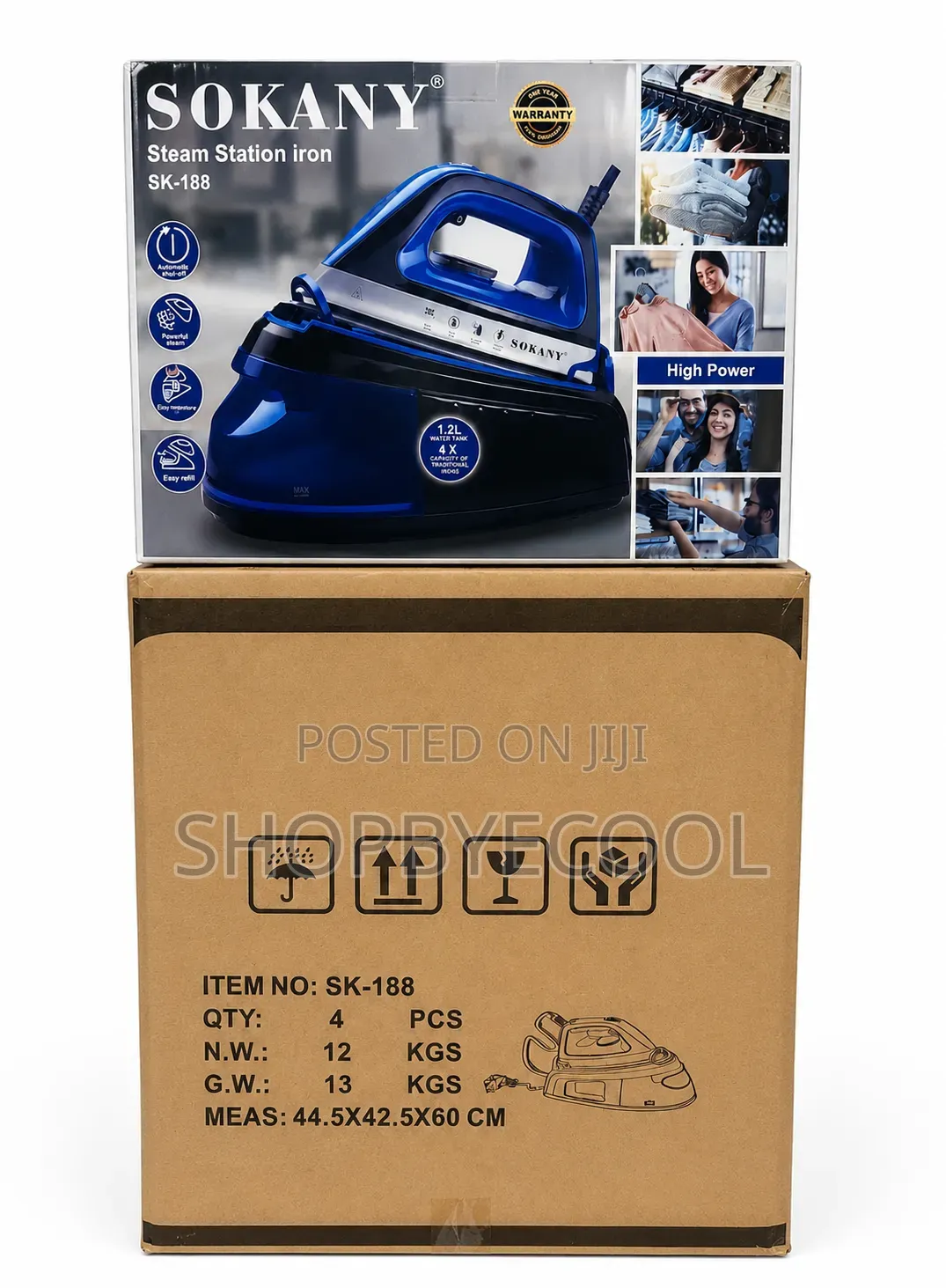 Steam Iron