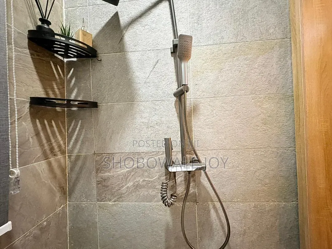 Furnished 1bdrm Apartment in Ikate Elegushi for rent