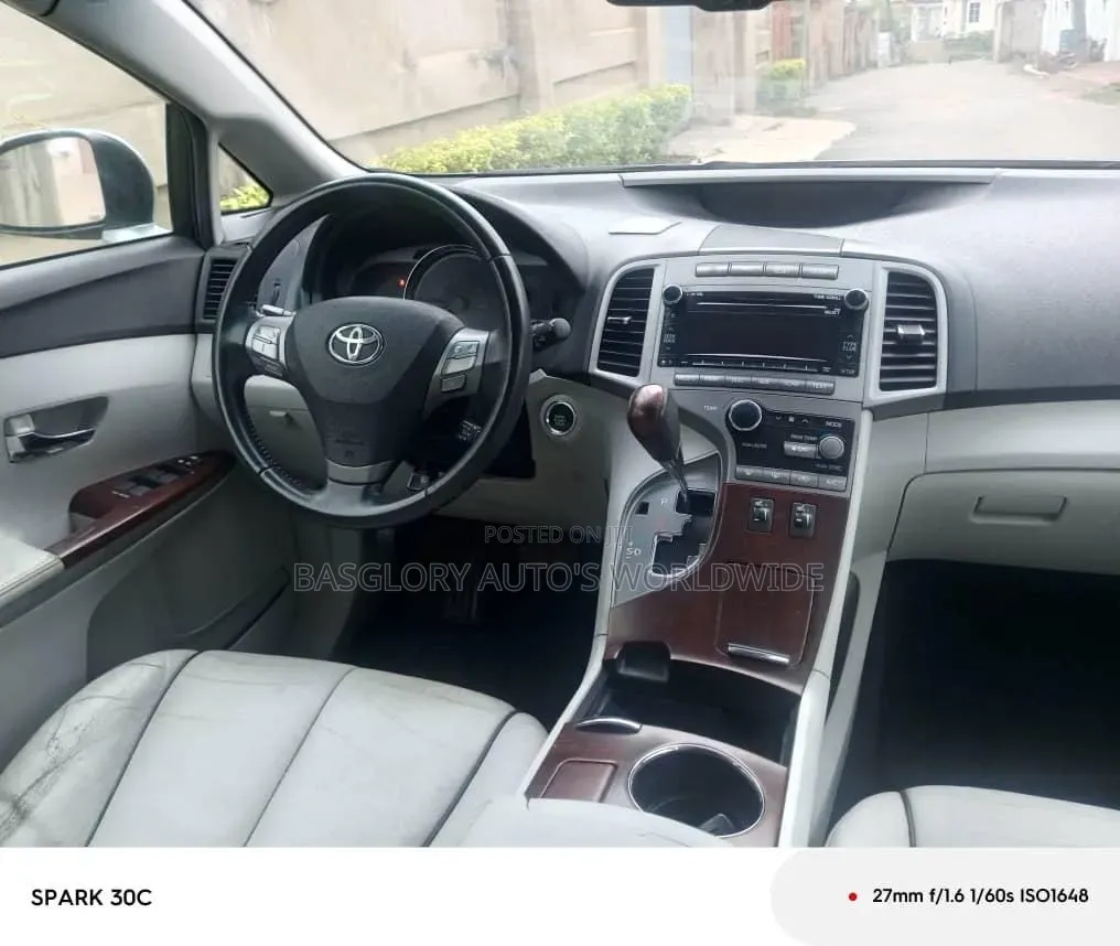 Toyota Venza 2010 Silver