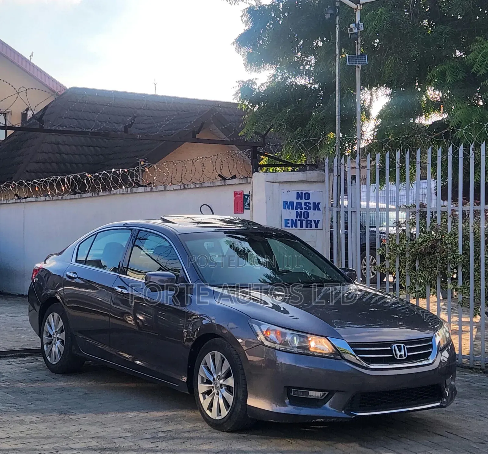 Honda Accord EX-L V-6 4dr Sedan w/Navigation (3.5L 6cyl 6A) 2014 Gray