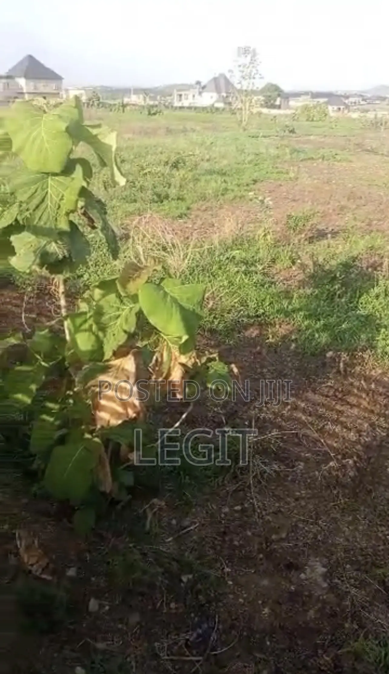 3 Hectares of Land With FCDA Title