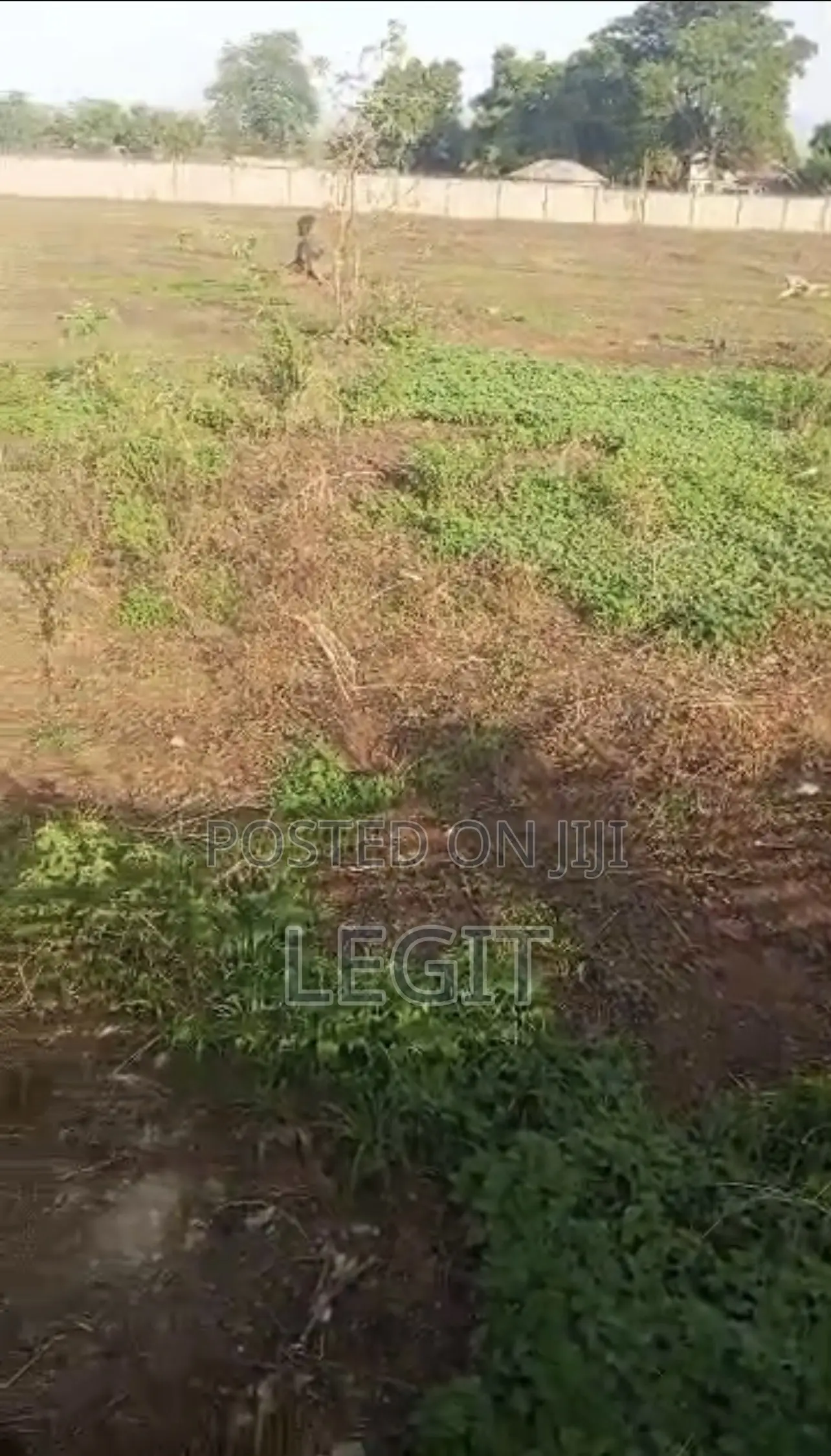 3 Hectares of Land With FCDA Title