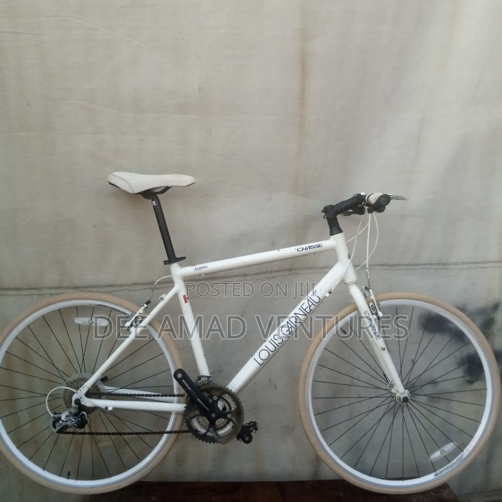 8 Speed Louis Garmeau Bike