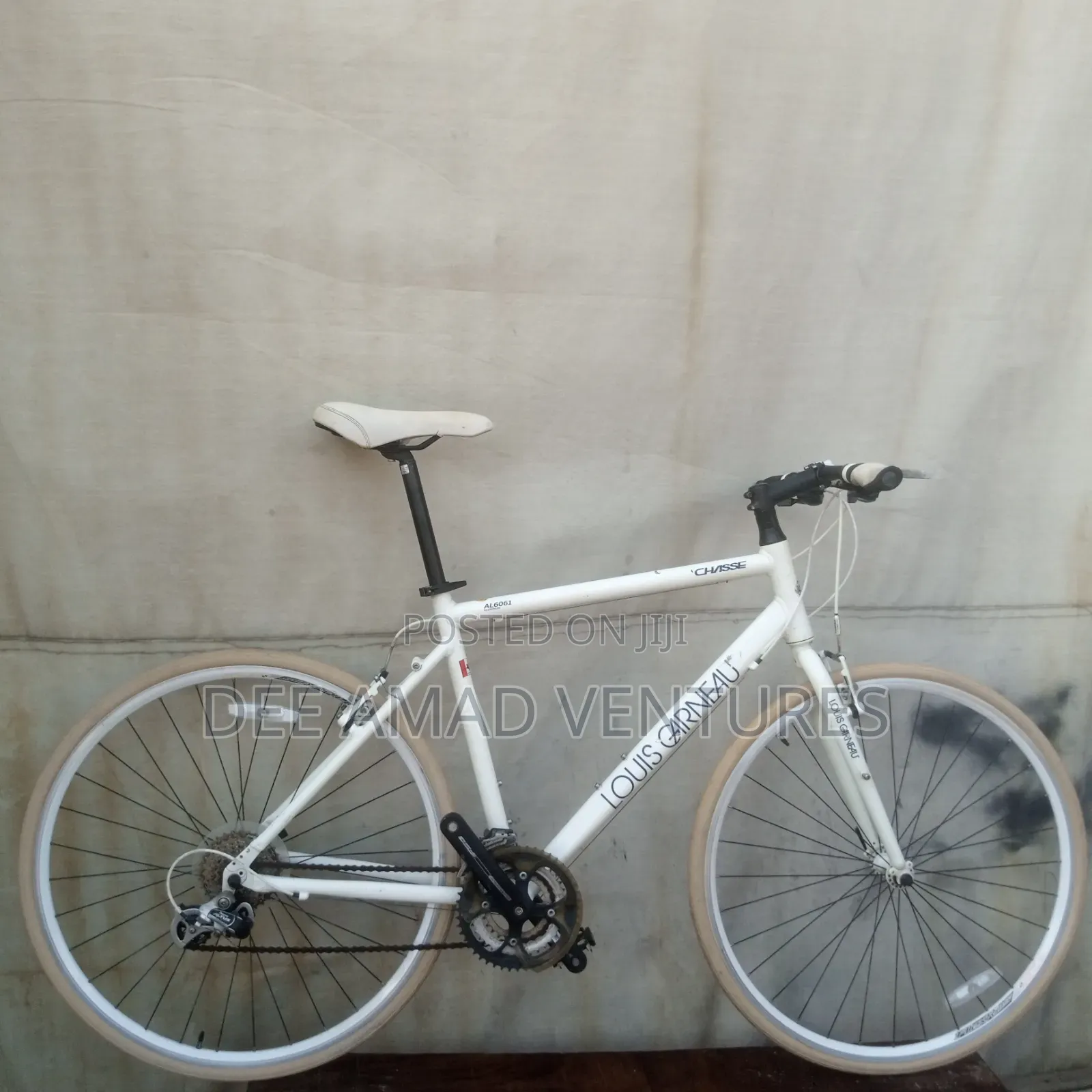 8 Speed Louis Garmeau Bike