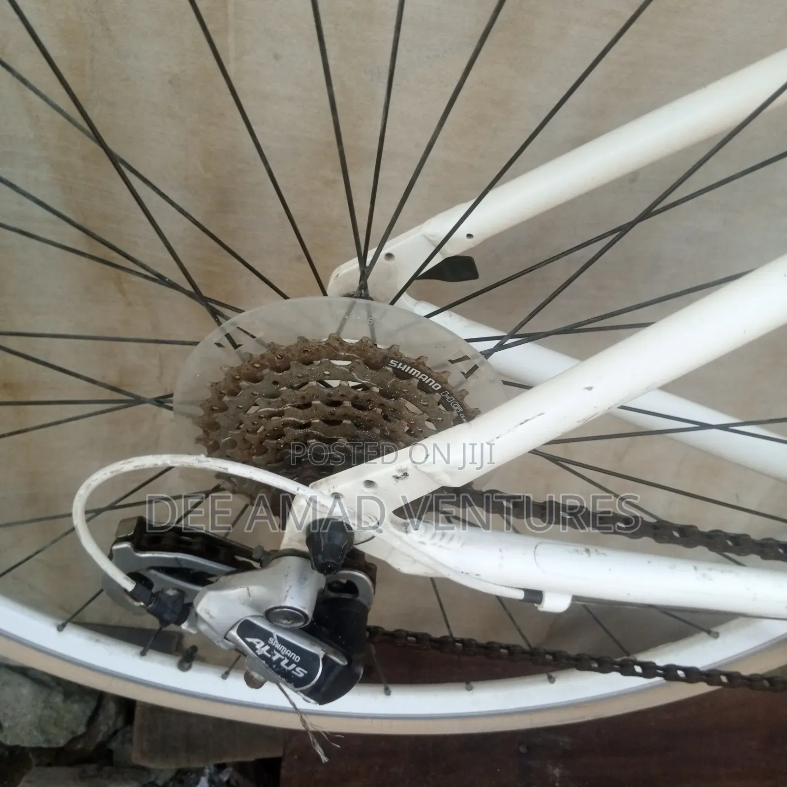 8 Speed Louis Garmeau Bike