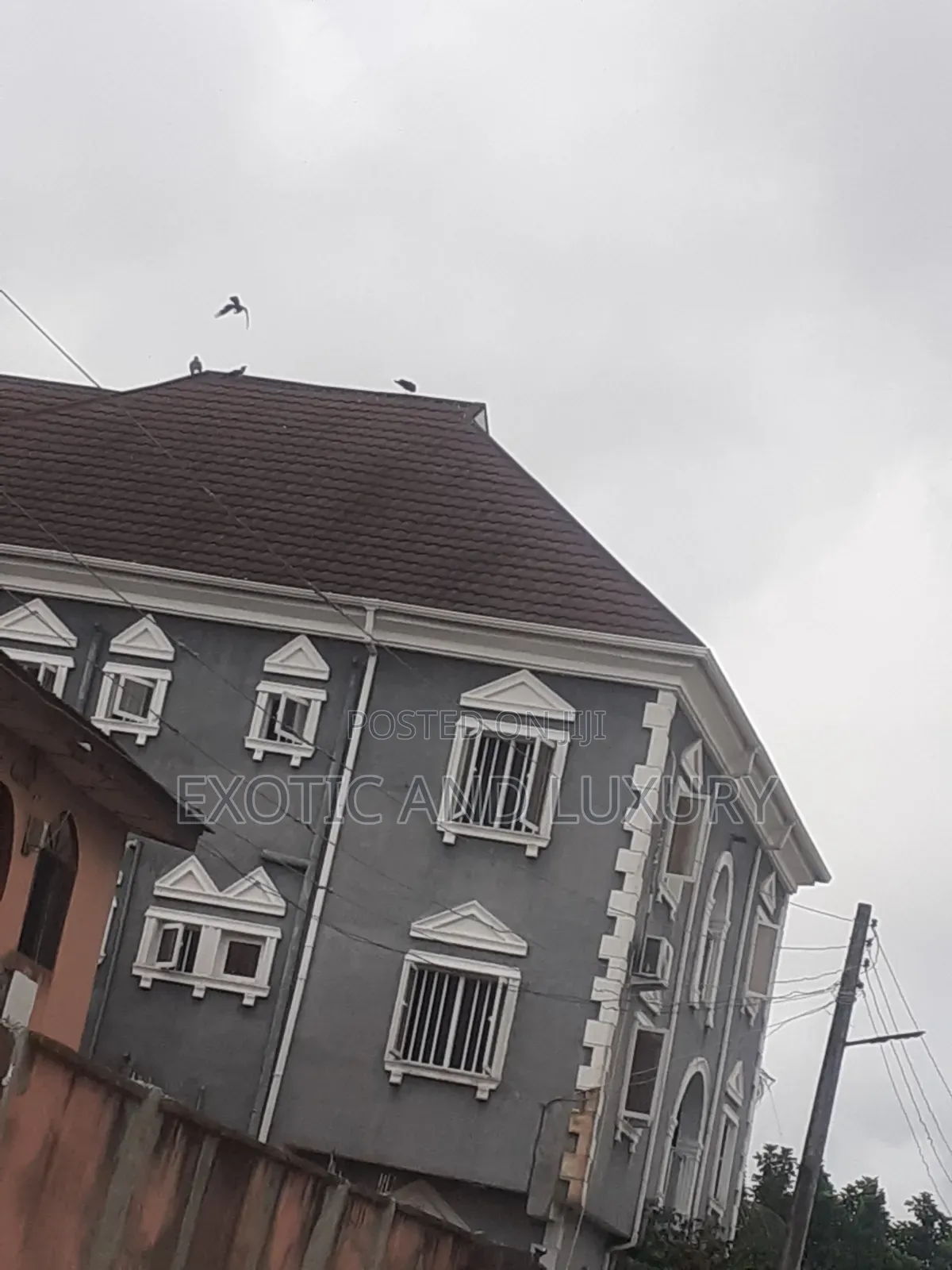 Studio Apartment in Onipanu for rent