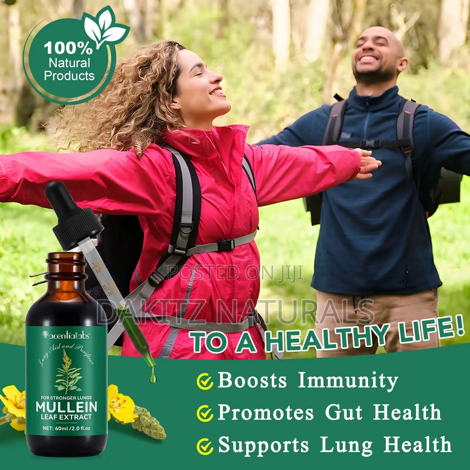 Mullein Leaf Extract Liquid Drop